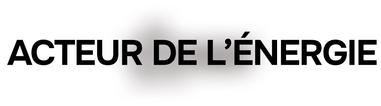 Acteur de l'énergie